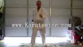 Celebrity Karate Mid-Block / Reverse Punch Profile