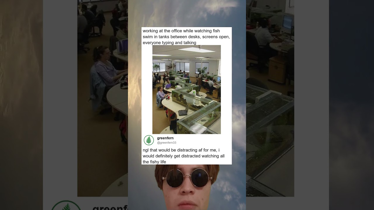 Office Aquarium Setup Makes Productivity Sink Or Swim