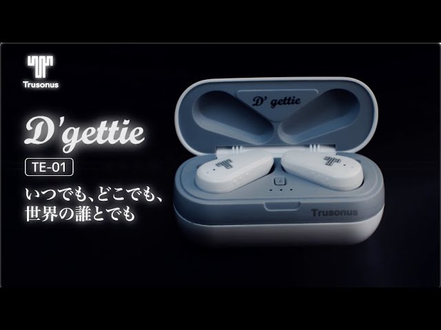 ワイヤレスイヤホン D'gettie　TE-01 翻訳機能付　10個セット