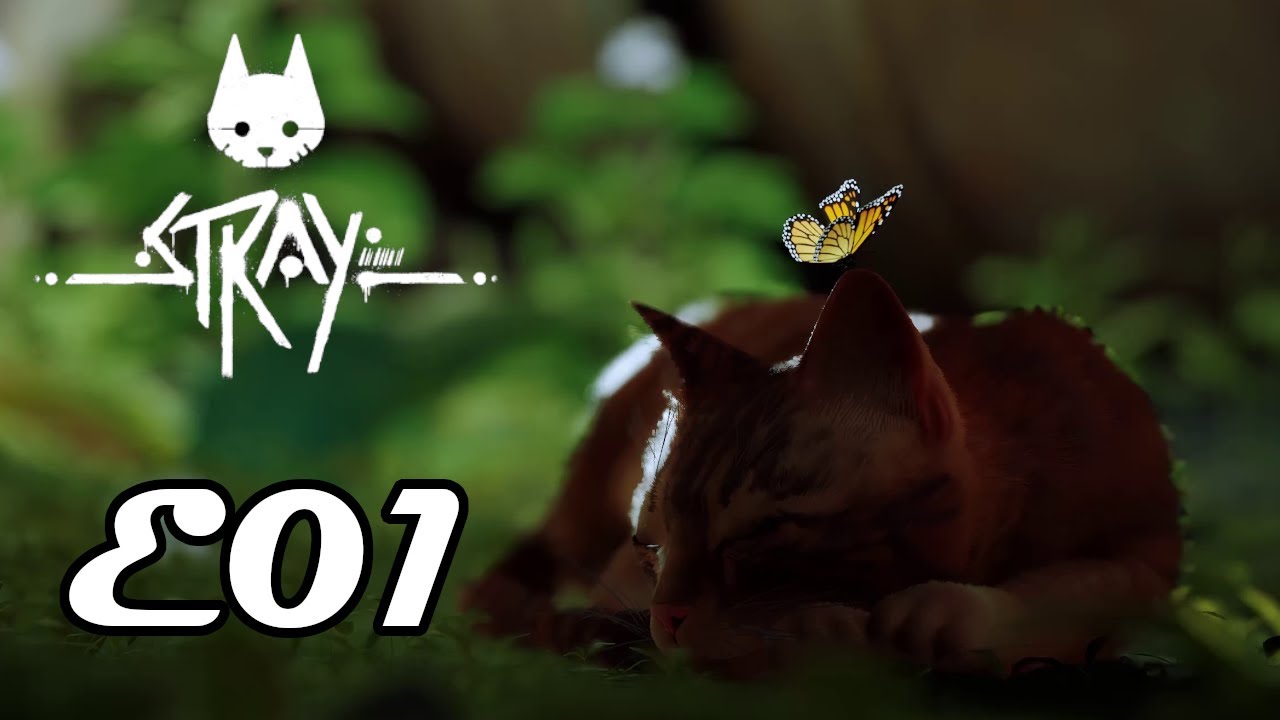 Stray - E01 - Playthrough