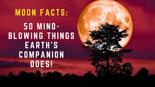 Moon Facts 50 Mind-Blowing Things Earths Companion Does