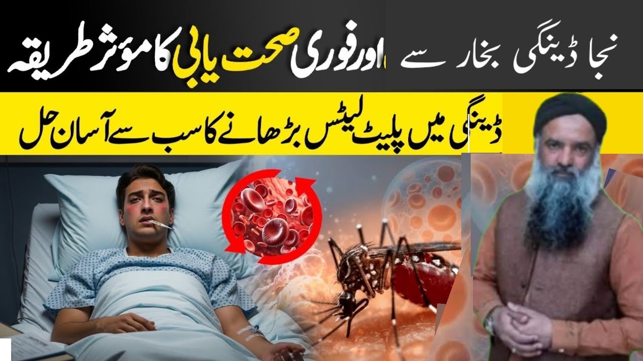 Dengue/✨ /Treatment: Best Natural Diet to Increase Platelet Count /🌜/ Dr sharafat Ali totka 7