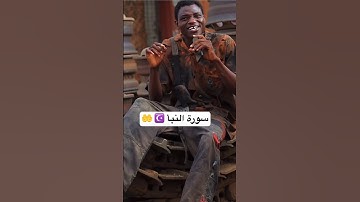 حفض القرآن الكريم ☪️🤲 اللهم انصر إخواننا في فلسطين 🇵🇸