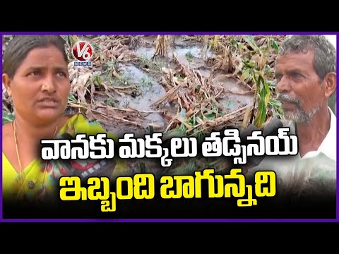 Crops Damaged Due To Heavy Rains In Warangal | V6 News - V6NEWSTELUGU
