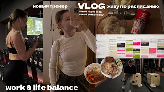 : vlog 1:    ,  ,   ,  