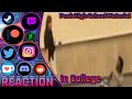 #reaction #explore #foryou | Still trying to be class clown even in college huh? Peak high schooler!