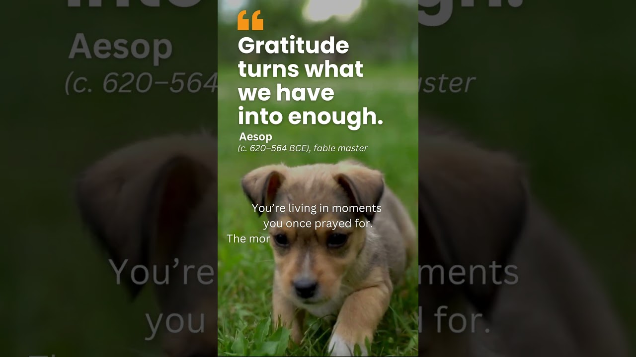 Gratitude Turns What We Have Into Enough – Aesop’s Quiet Truth