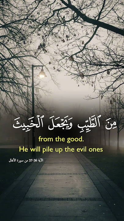 #quran #duet #shortvideos