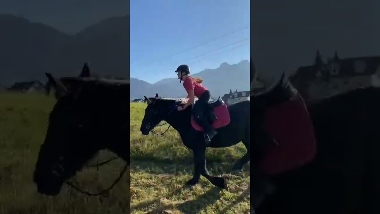 Verbringt unvergessliche Ferien im Reitercamp! 🐴