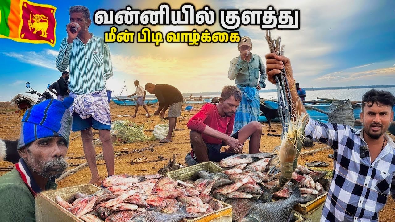 கிளிநொச்சி இரணை மடு குளத்து மீன் பிடி | Kilinochchi iranaimadu Fishing 
