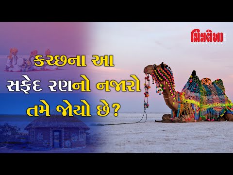 કચ્છના આ સફેદ રણનો નજારો તમે જોયો છે ?