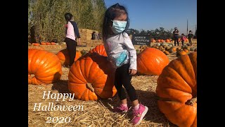 Halloween 2020 | Larry's Produce Pumpkin Patch