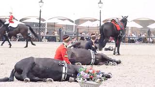 The Household Cavalry Mounted Regiment Musical Ride  2019