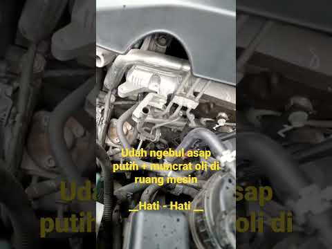 Muncrat Oli +