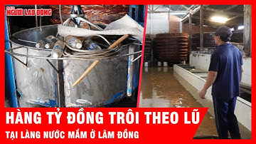 Làng nước mắm Phú Thủy (Lâm Đồng) tan hoang, hàng tỷ đồng trôi theo lũ| Tin tức