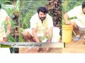 My tree challenge mammoottys initiative     