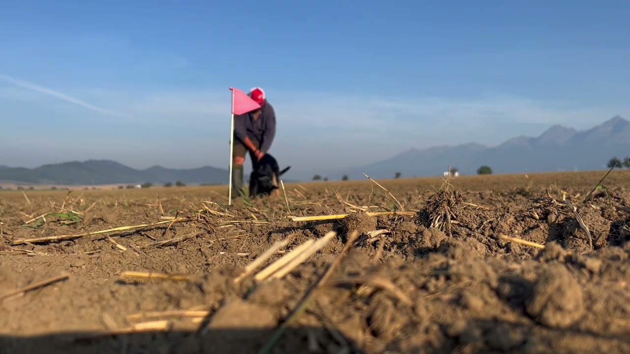 Stopa jej nácvik a zvykanie na nové terény