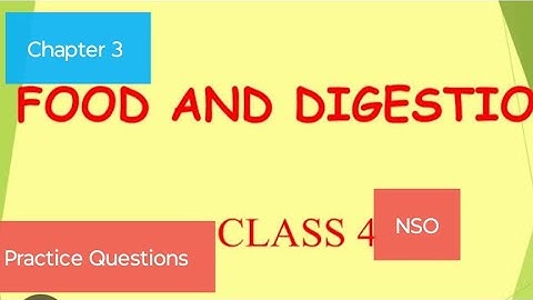 Class 4 Science Olympiad |Food and digestion| Science Olympiad Chapter 3| SOF | NSO#olympiad
