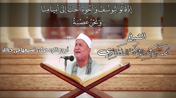 من روائع الشيخ محمد عبد الوهاب الطنطاوى سوره يوسف