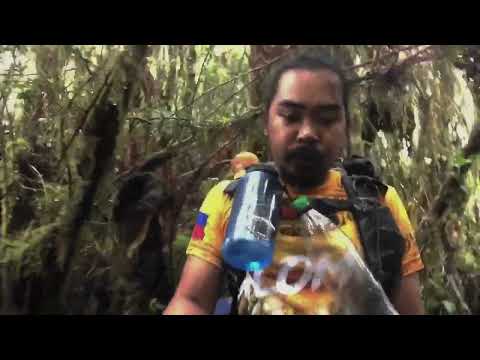 Mt.talomo mossy/rain forest.