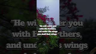 Under His Wings ft_ 0.2. Music,Composer, Actor by Br James Suphai OFM Capuchin.