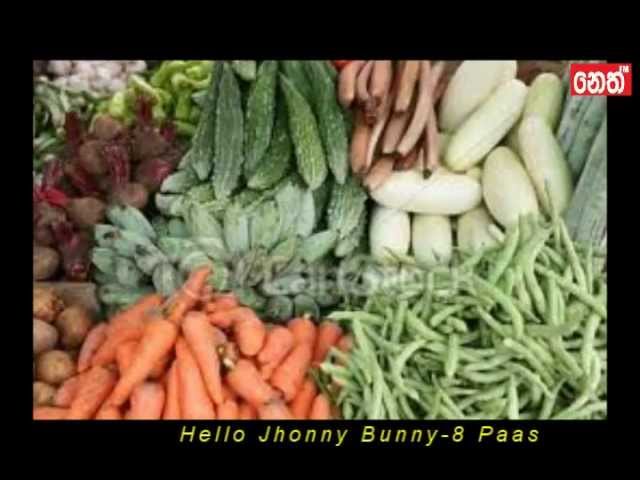 Hello Jhonny Bunny - 8 Paas Song