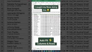 Auto Fit Columns & Rows in Excel ⚡ exceltips exceltricks shorts