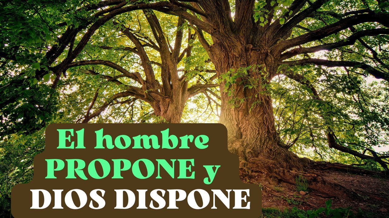 El hombre PROPONE y DIOS DISPONE - YouTube