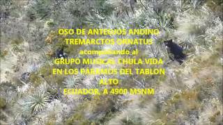 GRUPO CHULLA VIDA La soledad del pajonal
