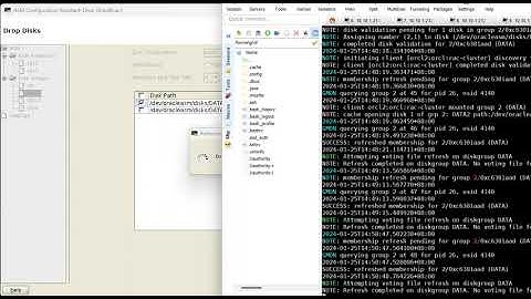 Oracle ASM drop disk