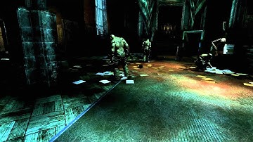 Batman Arkham Asylum - Benchmark on GTX480 with PhysX (Highest Settings)