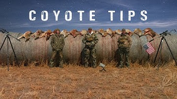 Coyote Hunting Tips - What I Wish I Knew Getting Started