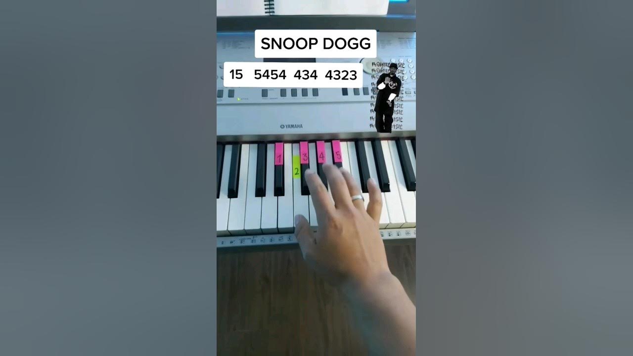 How To Play Snoop Dogg On Piano Easy Snoop Dogg // Piano Tutorial EASY Piano Fácil - YouTube