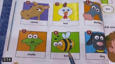 أنكليزي للصف الثالث الأبتدائي unit 2 lesson 3 صفحه  26 English of Iraq