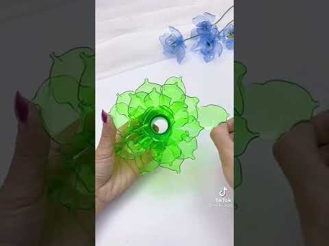 flor com garrafa
