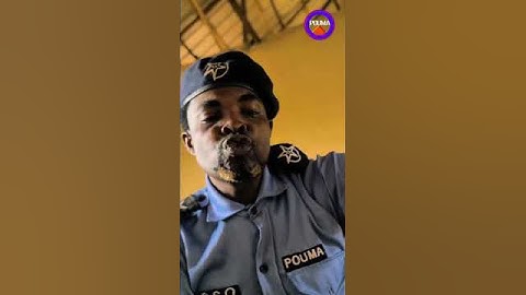 kitchen officer | Mr Macaroni | obg recent  | Brainjotter  | pouma funkie