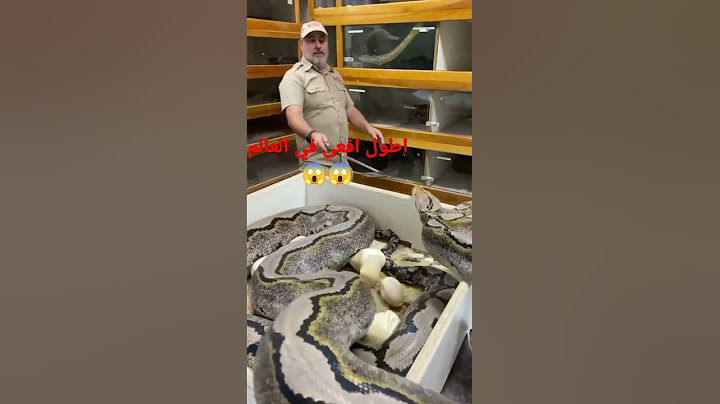 اطول افعى في العالم