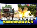 柬泰邊境衝突