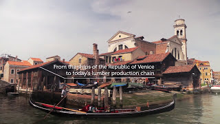 Veneto per Expo 2015 - Promozione Agroalimentare - Il legno