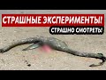 ТАЙНЫЕ ЭКСПЕРИМЕНТЫ! ВОЛОСЫ СТАНОВЯТСЯ ДЫБОМ