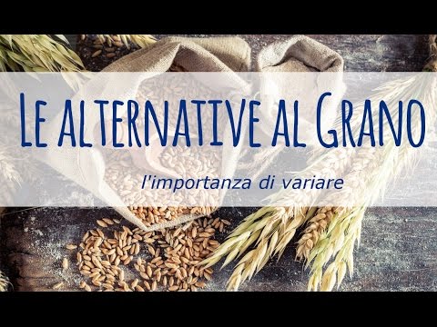 Le alternative al grano,  l&rsquo;importanza di variare