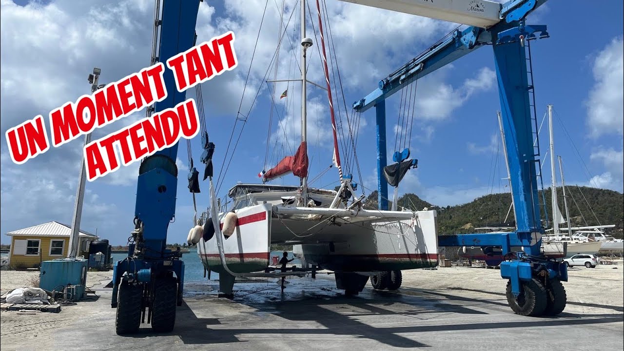 ⁣#200 Sortir de l’eau ….une étape importante pour Mistertong