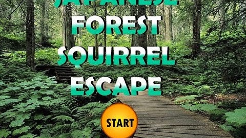 japanese forest squirrel escape video walkthrough