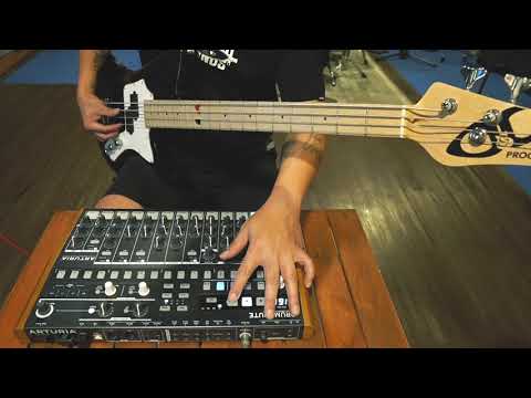 squid-9-cabin-fever:-day-13