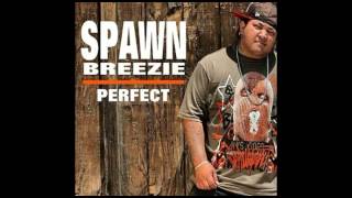 Video thumbnail of "Spawnbreezie - Perfect"