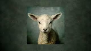 Download lagu Why (feat. Valley Boys) | Audio | Elevation Worship