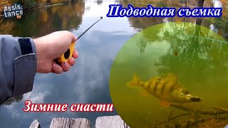 На мормышку и живца + подводная съемка. Осень.