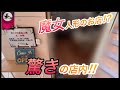 【マジュエリ】魔女人形のお店⁉︎想像以上の店内に驚いた‼︎