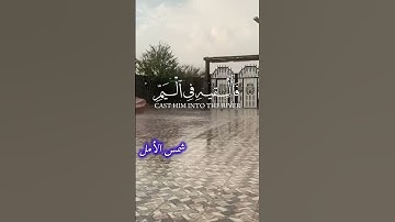 سورة القصص القارئ ياسر الدوسري #سورة_القصص #ياسر_الدوسري #قران_الكريم #اكسبلور #chorts #حالات_واتس