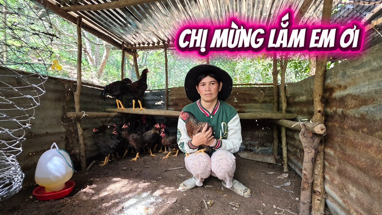 Cần câu cơm TẶNG gia đình chị gái RAGLAI || 457